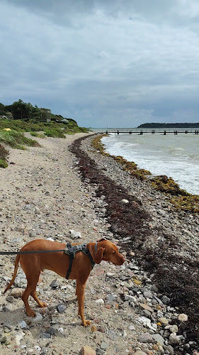 beachrex.com