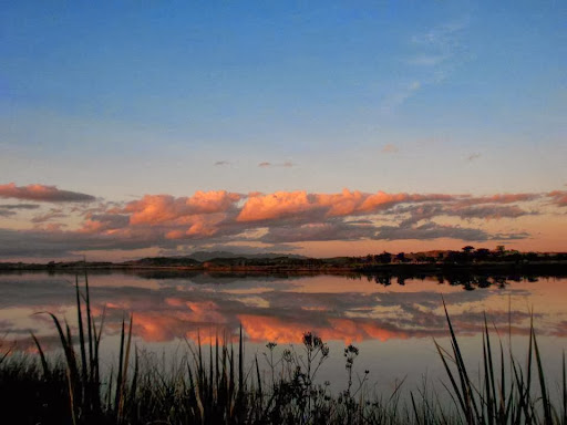 Dargaville Park Over - Thumbnail
