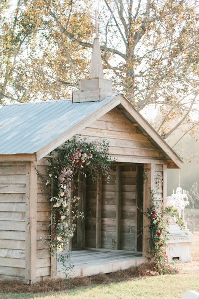 Photos of Mark Williams Studio