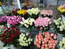 Фотография Cvety.kz - Доставка цветов и букетов в Экибастуз, дом 42, улица Ауэзова, Экибастуз, Казахстан