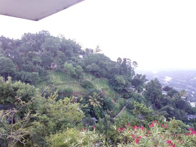 Photos of Skydale Homestay