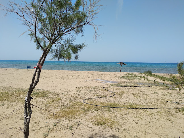 28ης Οκτωβρίου 114, Μυρσινη 270 53