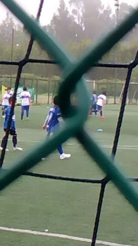 Opiniones de Complejo Deportivo Almendra Deportes en Chiguayante - Campo de fútbol