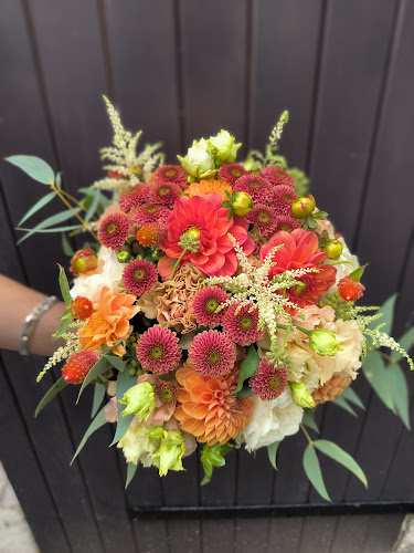 7 Rue Lespy, 64000 Pau