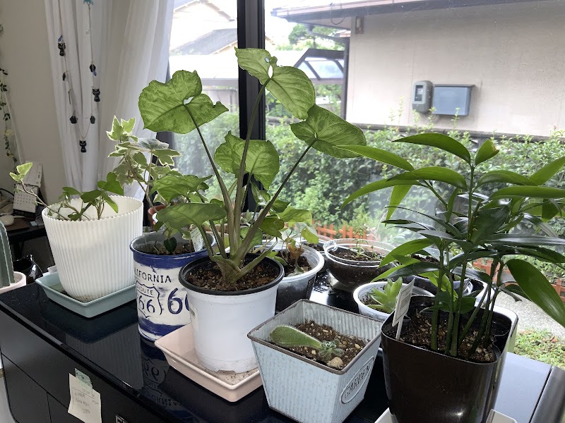 (有)ミト・ワークス