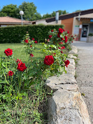 Photo n°6 de Camping Ginasservis à Ginasservis (Piscine)
