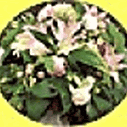 Photo n°4 de Fleurs De St Gilles à Saint-Gilles-Croix-de-Vie (Fleuriste)