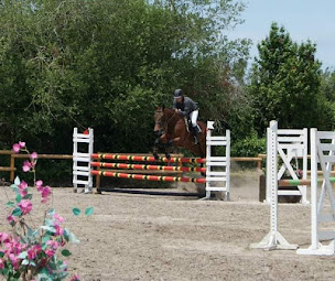 Photo n°10 de Centre Equestre Tequi-Passion à Castelmoron-sur-Lot (Club de sport)