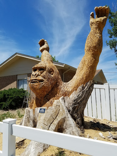 Broadview Park - Visual