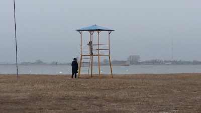 Photos of Paralepa rand