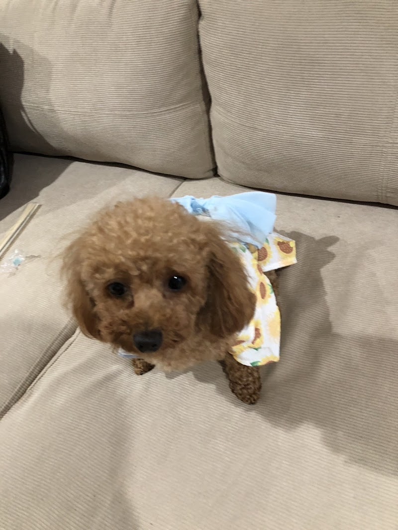 ７丁目ギター教室 直方校