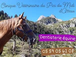 Photo n°19 de Clinique vétérinaire d'Arudy de garde 7J/7 et 24h/24 à Arudy (Urgences vétérinaires)