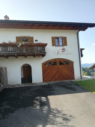 Photos of Puntschuhof