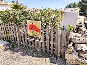 Photo n°5 de La Maison d'Odile à Le Grand-Village-Plage (Gîte)