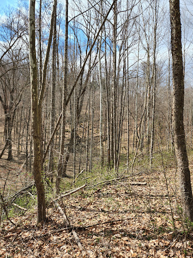 Moonville Rail Trail - Thumbnail