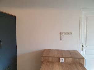 Photo n°9 de ARTISAN CMPeinture : Peintre en bâtiment , Nettoyage, Démoussage et protection hydrofuge résine sur Toiture et Façade à La Bruffière (Service d'élagage)