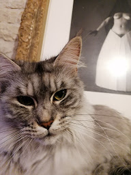 Photo n°12 de Pizza chez pierrot à La Crèche (Pizzeria)