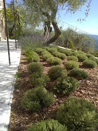Photo n°23 de Amorotti paysage à Contes (Paysagiste)