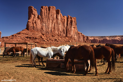 Camel Butte - Visual