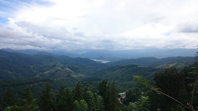 Photos of Panwila Rest House