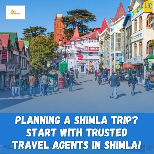 Planning a Shimla trip? Start your journey with Trusted Travel Agents in Shimla who know the city… post image