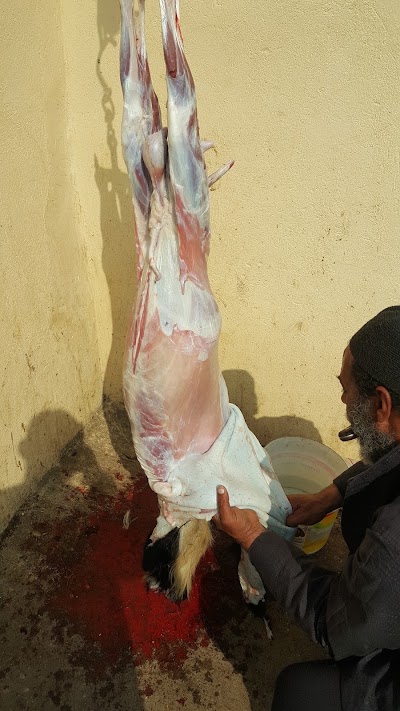 Photos of مقام سيدي عبد الوهاب العفيفي