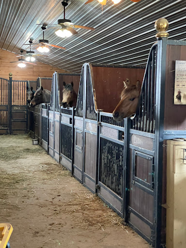 S&W QUARTER HORSES Gallery - United States