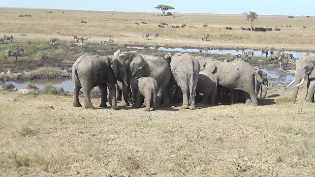 Serengeti National Park