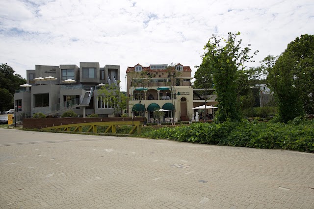 Place around image