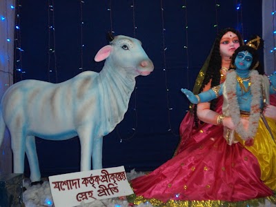 Photos of সুচক্রদন্ডী পল্লী মঙ্গল পটিয়া