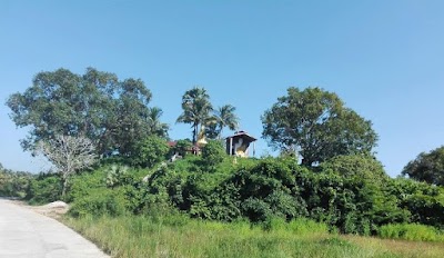 Photos of Tazin Village