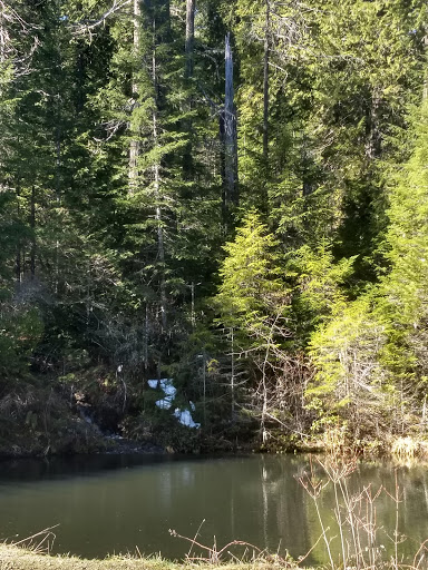 China Flat Campground Gallery - United States