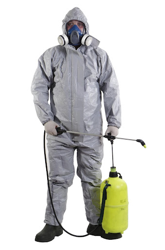 Top Pest Control Company in Kolkata – Safe & Affordable Services post image