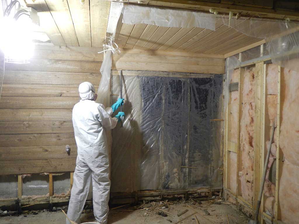 Rocky Mountain Restoration photo