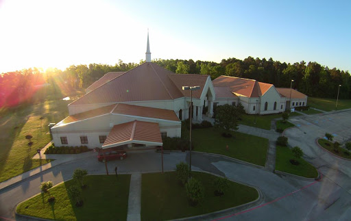 FBC Willis - Visual