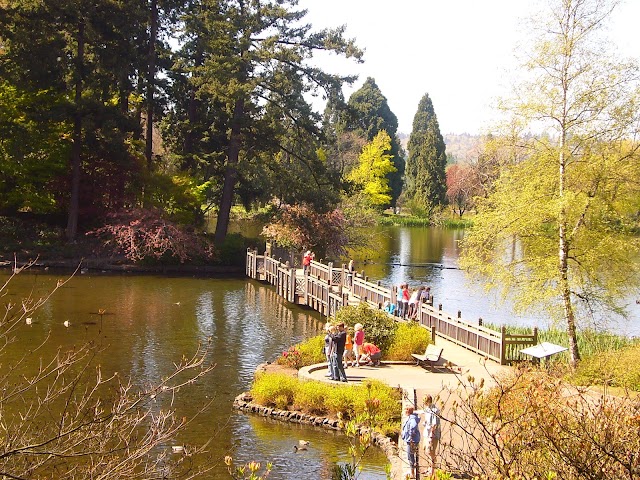 Crystal Springs Rhododendron Garden