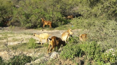 photo of Excursiones Mina Clavero