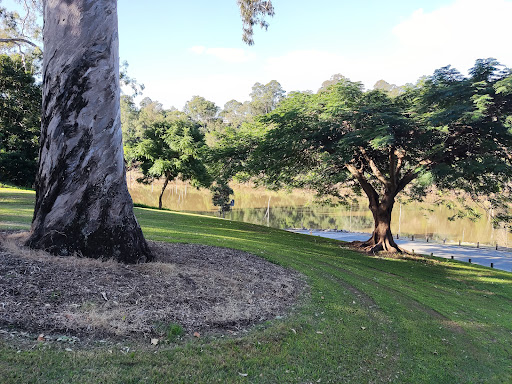 Fig Tree Pocket Riverside Reserve - Thumbnail