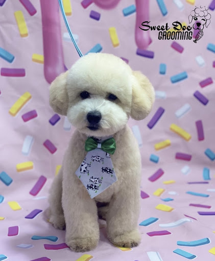 Sweet Dog Grooming - Thumbnail
