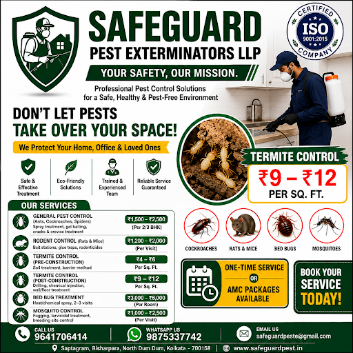 🛡️ Termite Control Starting ₹9/Sq. Ft. | Professional Pest Control in Kolkata post image