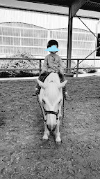 Photo n°16 de Equitherapie Rênes et Sens à Buire-au-Bois (Coach de vie)