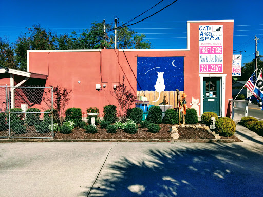 Cats Angels Inc & Thrift Store - Thumbnail