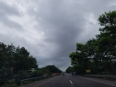 Photos of La Vega Vieja