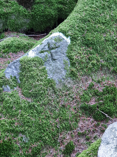 Distelberg - Visual