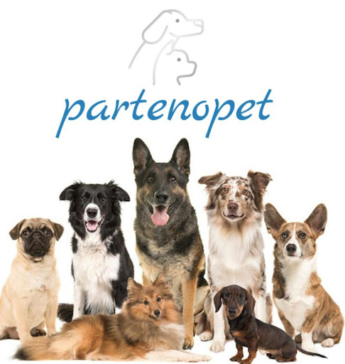 Partenopet - Visual