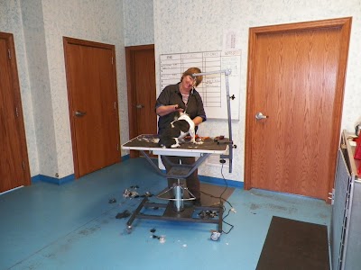 Photos of Mountain View Veterinary Health Center: North Logan Hospital