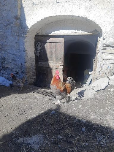 Azienda Agricola Roche - Thumbnail