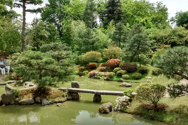 Visit Japanese Bonsai Garden Japanischer Bonsaigarten On Your