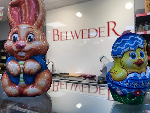 Belweder Gallery - Germany