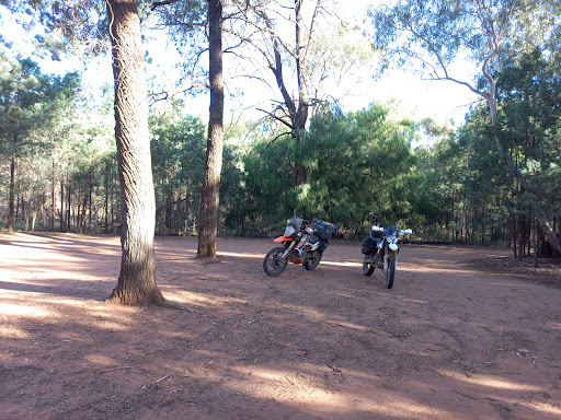 Jacks Creek picnic area - Thumbnail